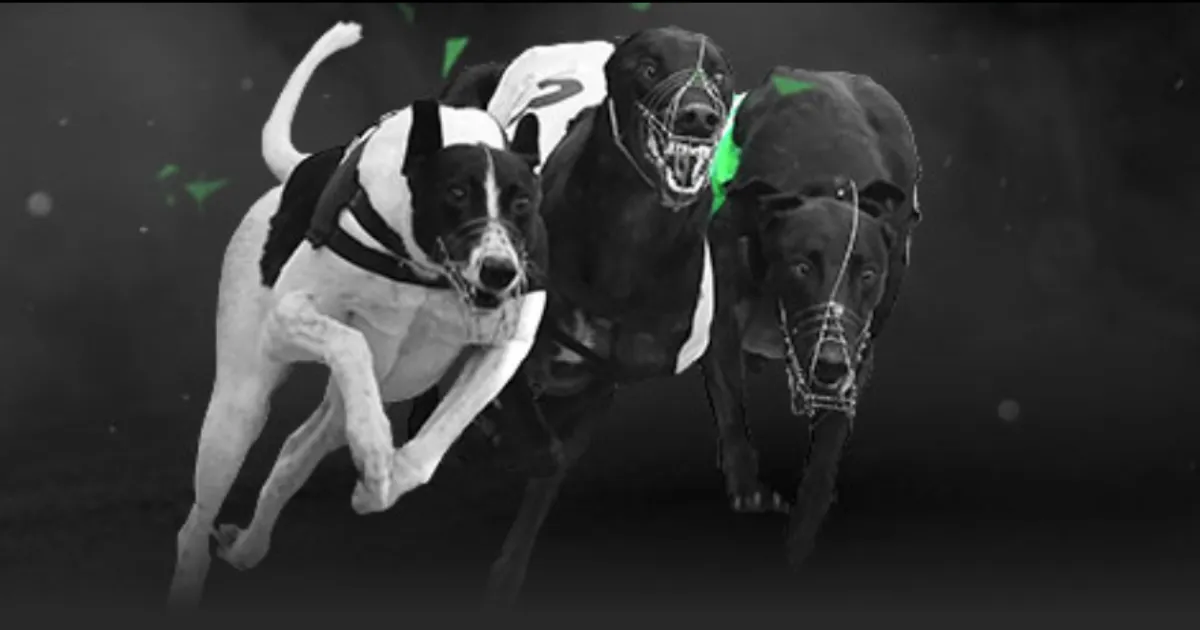 常规赛,太阳对阵里,夫斯赛事精,太阳城,太阳城娱乐,太阳城app,太阳城赌场