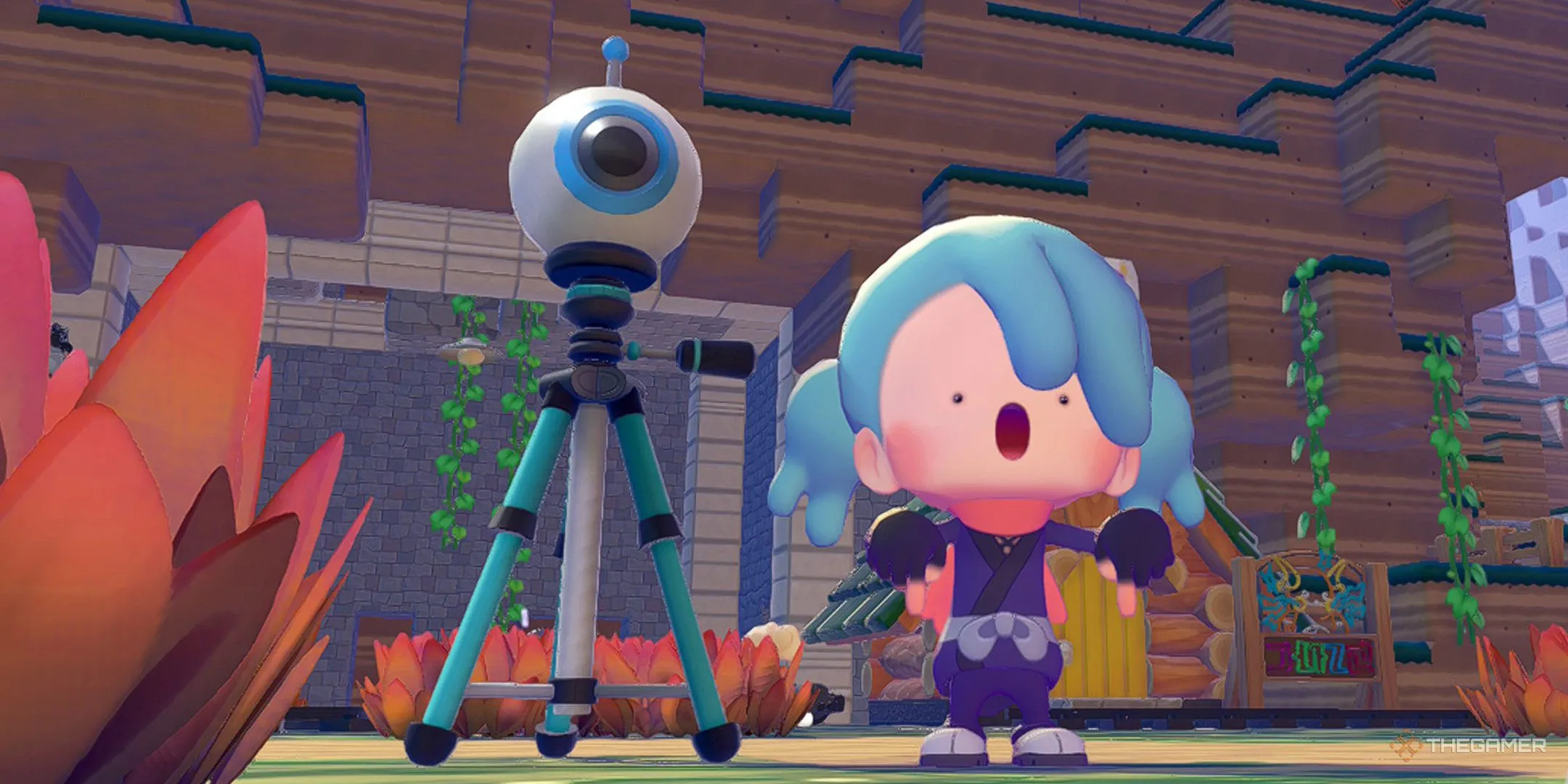 小卡合同临,近到期,卢指导,太阳城,太阳城娱乐,太阳城app,太阳城赌场